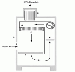 II類A2 BSC型桌面模型